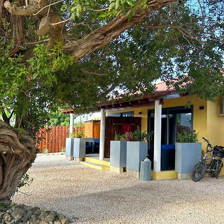 Sonrisa Boutique Hotel - Adults Only Kralendijk  Exterior foto